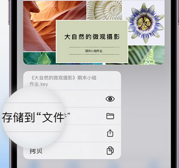 南城apple维修中心分享iPhone文件应用中存储和找到下载文件