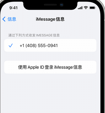 南城apple维修iPhone上无法正常发送iMessage信息 