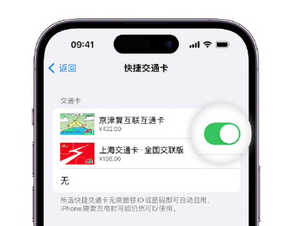 南城apple维修点分享iPhone上更换Apple Pay快捷交通卡手绘卡面 