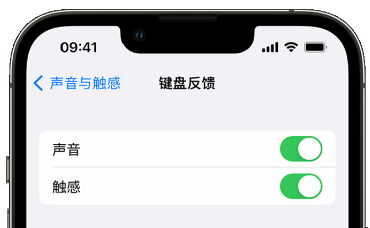 南城苹果手机维修分享iPhone 14触感键盘使用方法 