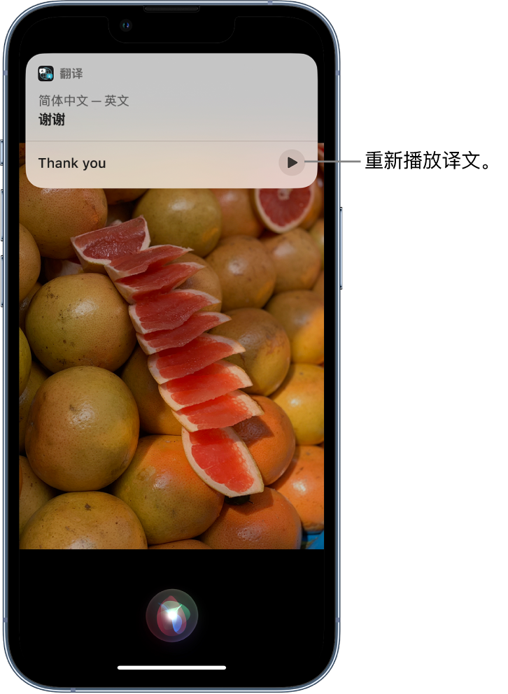 南城苹果14维修分享 iPhone 14 机型中使用 Siri：了解 Siri 能帮你做什么 