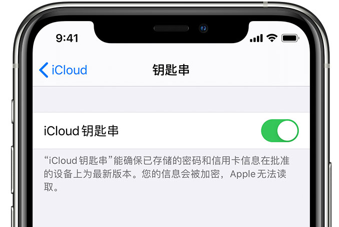 南城苹果手机维修分享在 iPhone 上开启 iCloud 钥匙串之后会储存哪些信息 