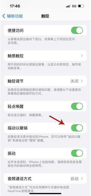 南城苹果手机维修分享iPhone手机如何设置摇一摇删除文字 