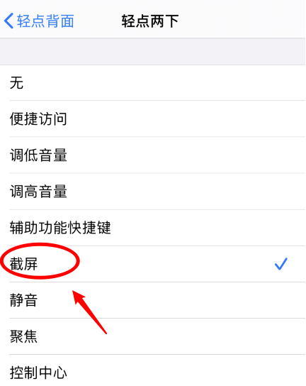 南城苹果手机维修分享iPhone12如何启用双击截屏 